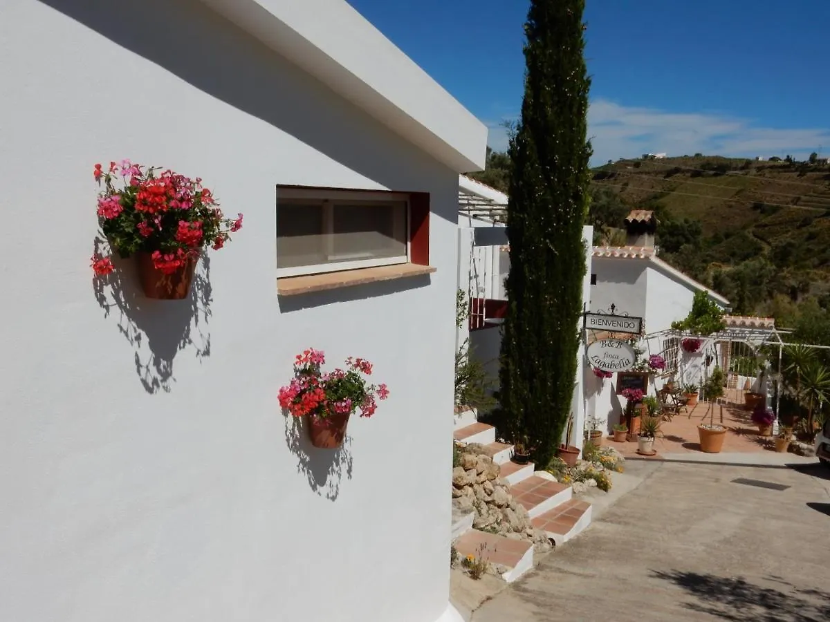 Bed And Breakfast Lagabella Sedella スペイン