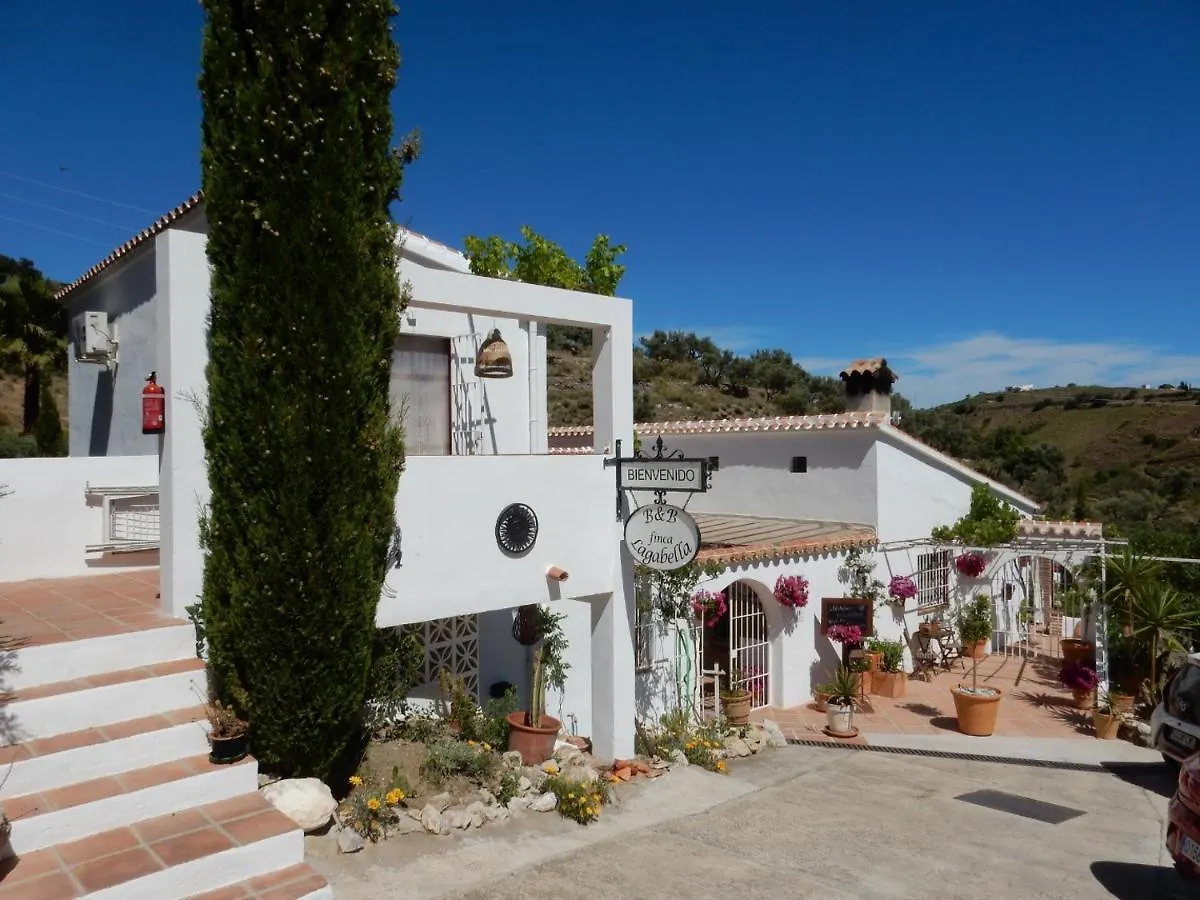 Bed And Breakfast Lagabella Sedella ベッド・アンド・ブレックファスト