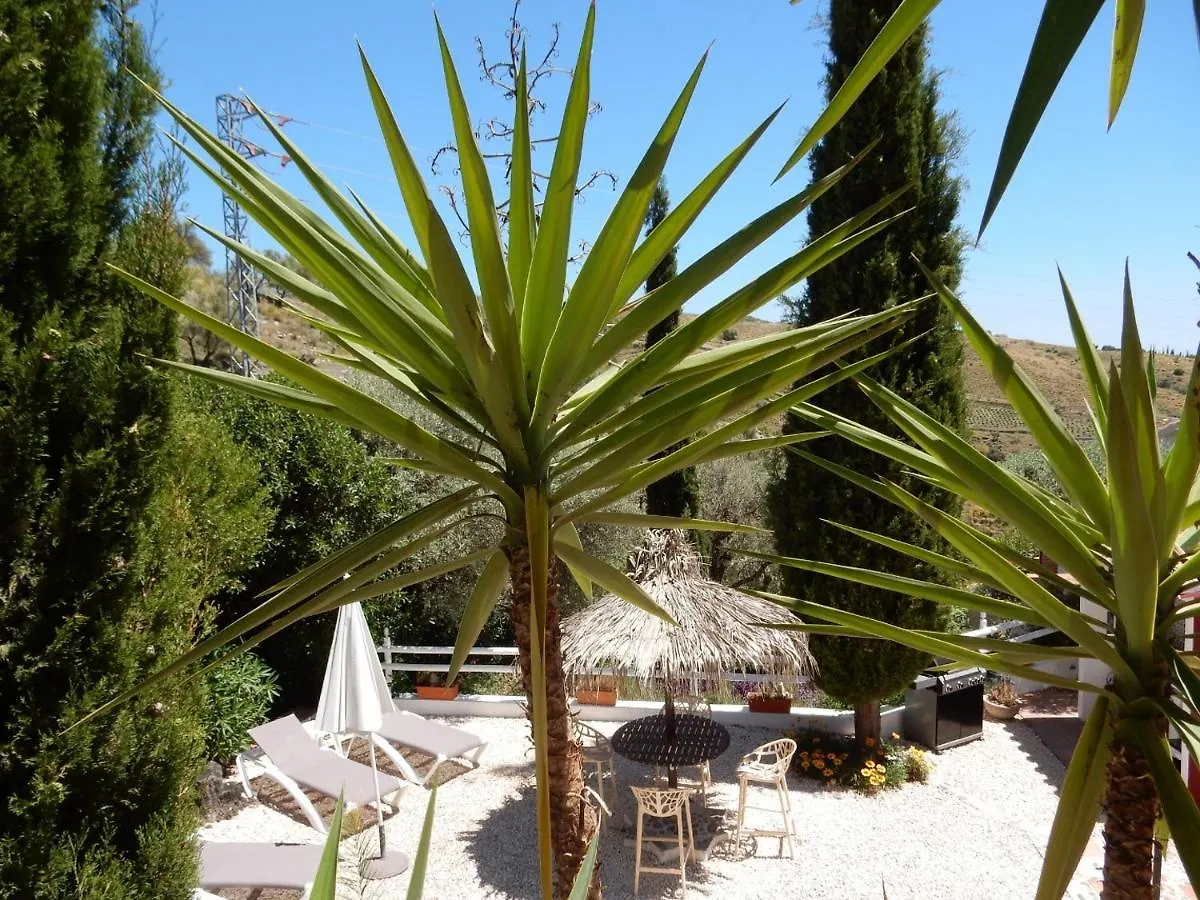 ベッド・アンド・ブレックファスト Bed And Breakfast Lagabella Sedella