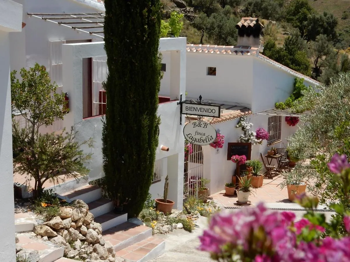 Bed And Breakfast Lagabella Sedella