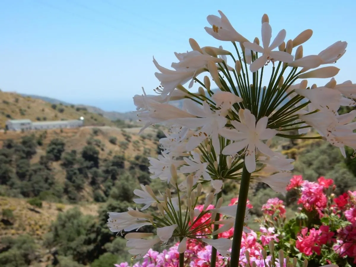 Bed And Breakfast Lagabella Sedella