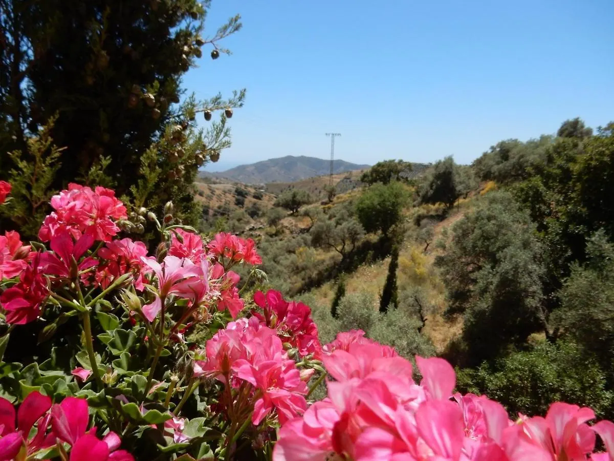 Bed And Breakfast Lagabella Sedella Bed & Breakfast